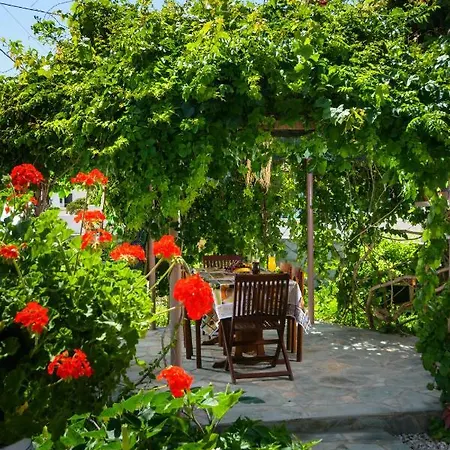 Vakantiehuis House