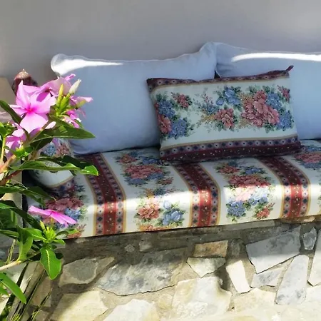 House Vakantiehuis *